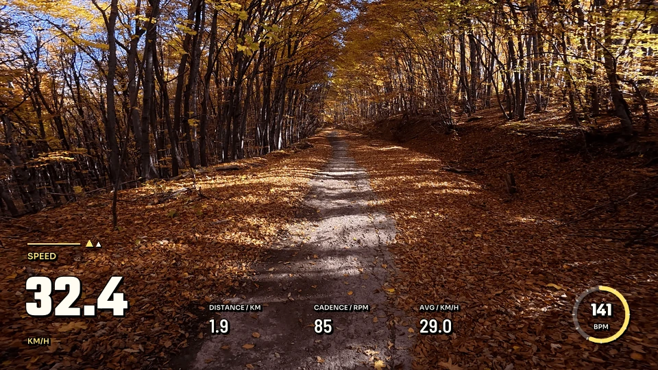 Cycling Slipstream over the Autumn preview background, rendered by Movaro with sample activity data.