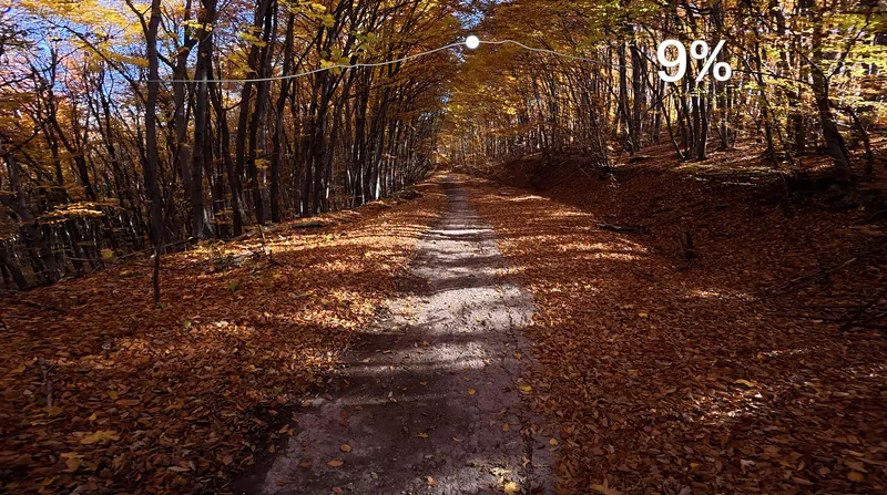 focused segment callout with gradient percentage